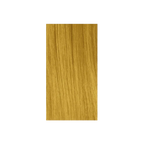 Insight Incolor Aura