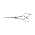 Focus Innovating As Tradition Sweetcut 31255 — Focus