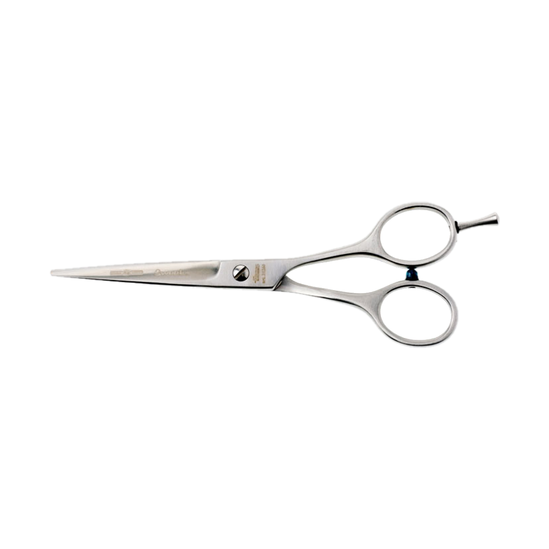 Focus Innovating As Tradition Sweetcut 31255 — Focus