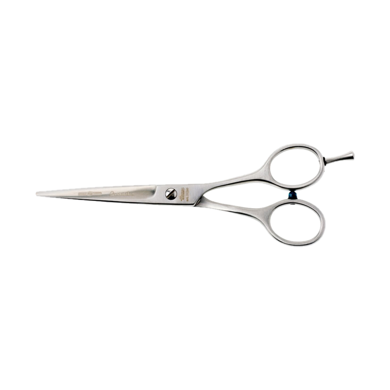 Focus Innovating As Tradition Sweetcut 31255 — Focus